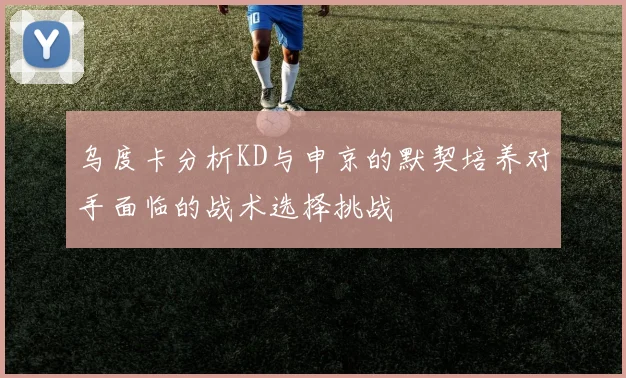 乌度卡分析KD与申京的默契培养对手面临的战术选择挑战
