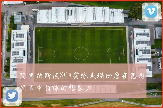 阿里纳斯谈SGA罚球表现幼詹在宽阔空间中打球的想象力